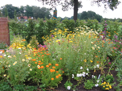 Landesgartenschau Rietberg